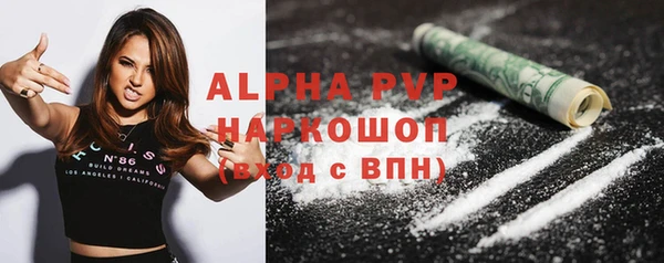 винт Лагань