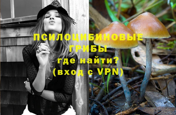 кокс Липки